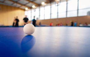 🏓 Résultats de la 3ème journée de championnat – Un week-end mémorable pour le ping lotois et le ping français !