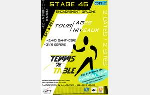 Stage de tennis de table