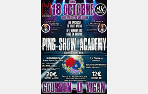 ✨ Ping Show Academy